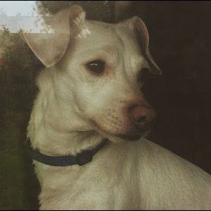 Meet your Posher, Isaac